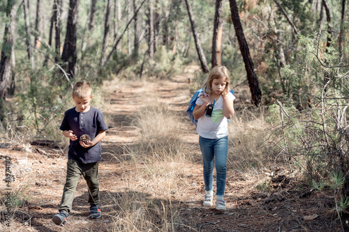 Kids walking through the forest with pine cones and a two-way ra photo
