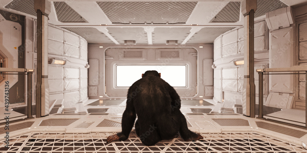 Chimp in futuristic room Stock Photo | Adobe Stock
