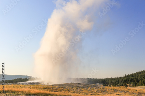 the Old Faithful Spring in Eruption in Yellowstone National Park, United States