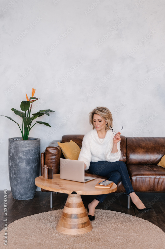 Stylish female entrepreneur browsing laptop Stylish female entrepreneur browsing laptop