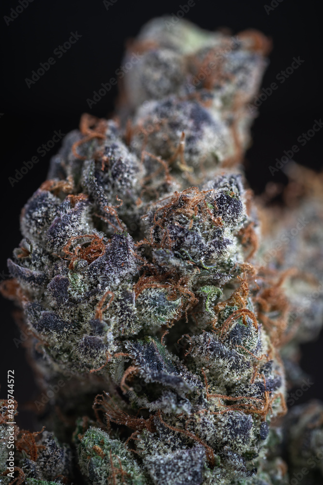 Cannabis Flower Macro - Strain: Pineapple Cake