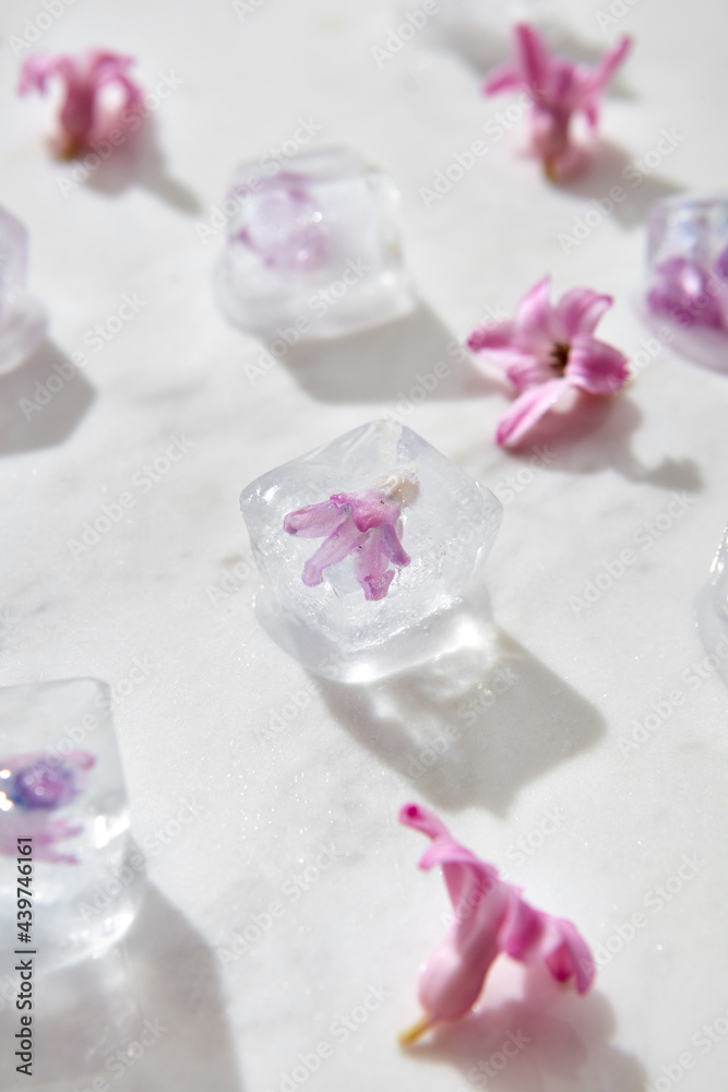 Closeup of ice cubes with small flowers Closeup of ice cubes with small flowers