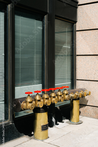 Array of fire hydrants photo