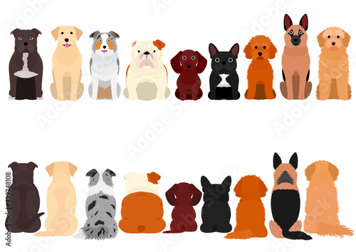 dogs sitting in a row, front and back