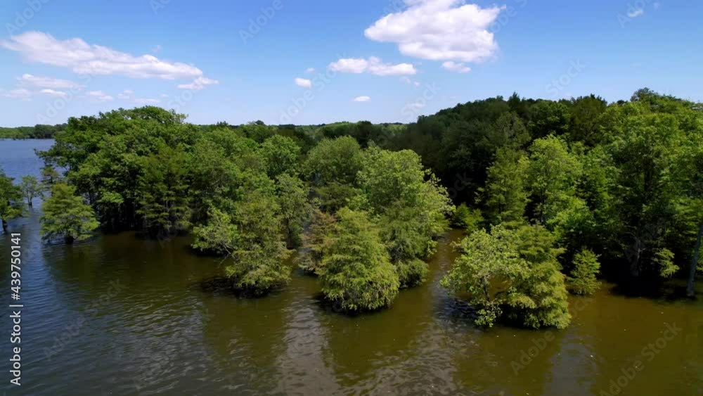 lake marion flying over cypress trees, lake marion sc, lake marion south carolina, santee cooper lakes lake marion flying over cypress trees, lake marion sc, lake marion south carolina, santee cooper lakes