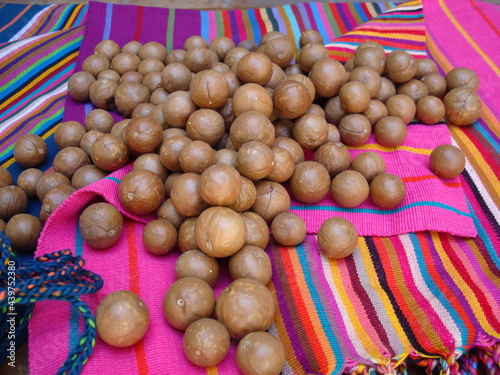 Nueces de macadamia en su cáscara, sobre bolsas de colores alegres 2