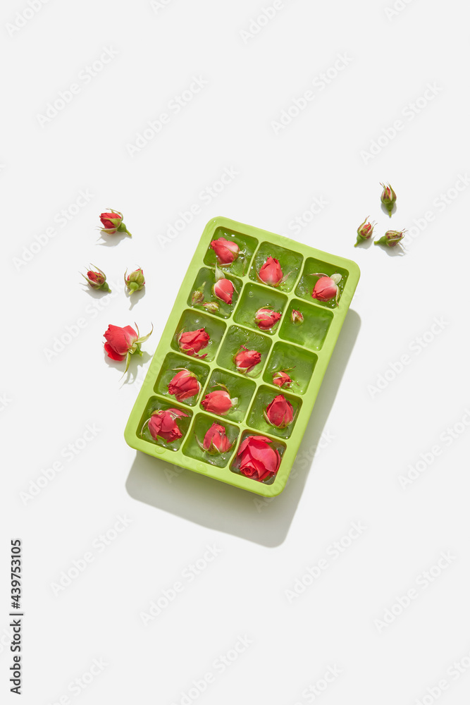 Ice cubes with roses in ice box Ice cubes with roses in ice box