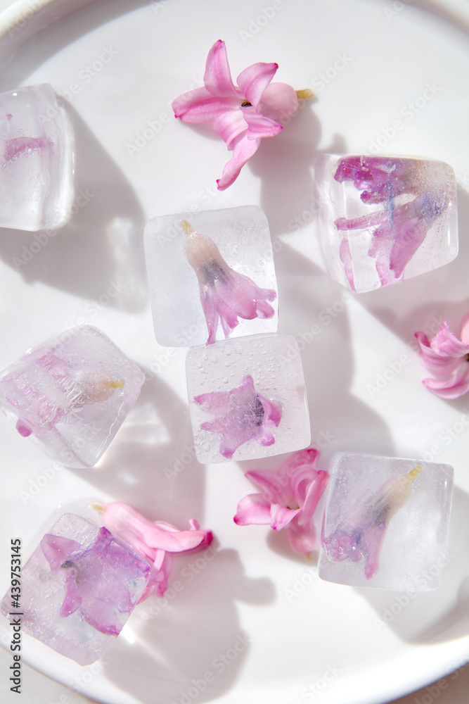 Closeup of ice cubes with blossoming purple flowers Closeup of ice cubes with blossoming purple flowers