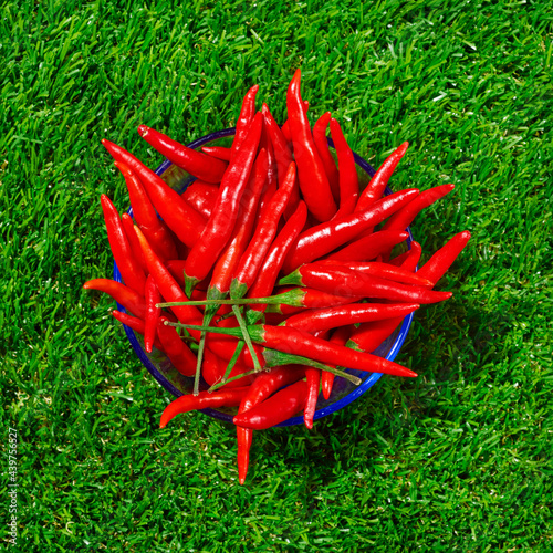 red chili peppers in a bowl photo