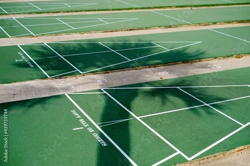 Shuffleboard Courts with a Palm Tree Shadow  photo