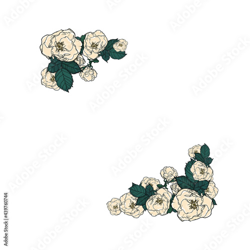 Floral illustration in the form of a frame for designers. Flowers with empty space for cards, wedding invitations, florists on white background
