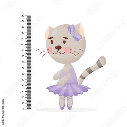 Kids meter wall with a cute smiling cartoon cat and measuring ruler. Vector illustration of animal isolated background.