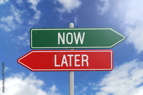Now or later - green and red road sign on sky background