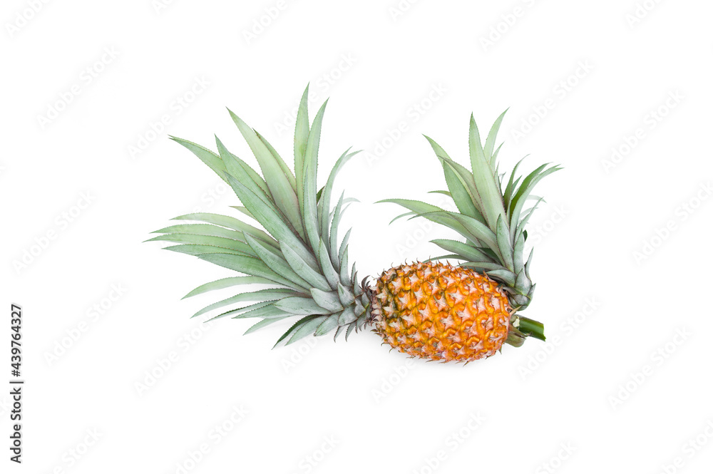 Fototapeta premium Pineapple with leaves isolated on white background.