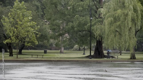 boston public garden rain man with umbrella
