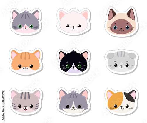 Set of stickers of cute cat faces on white background. Cartoon flat style