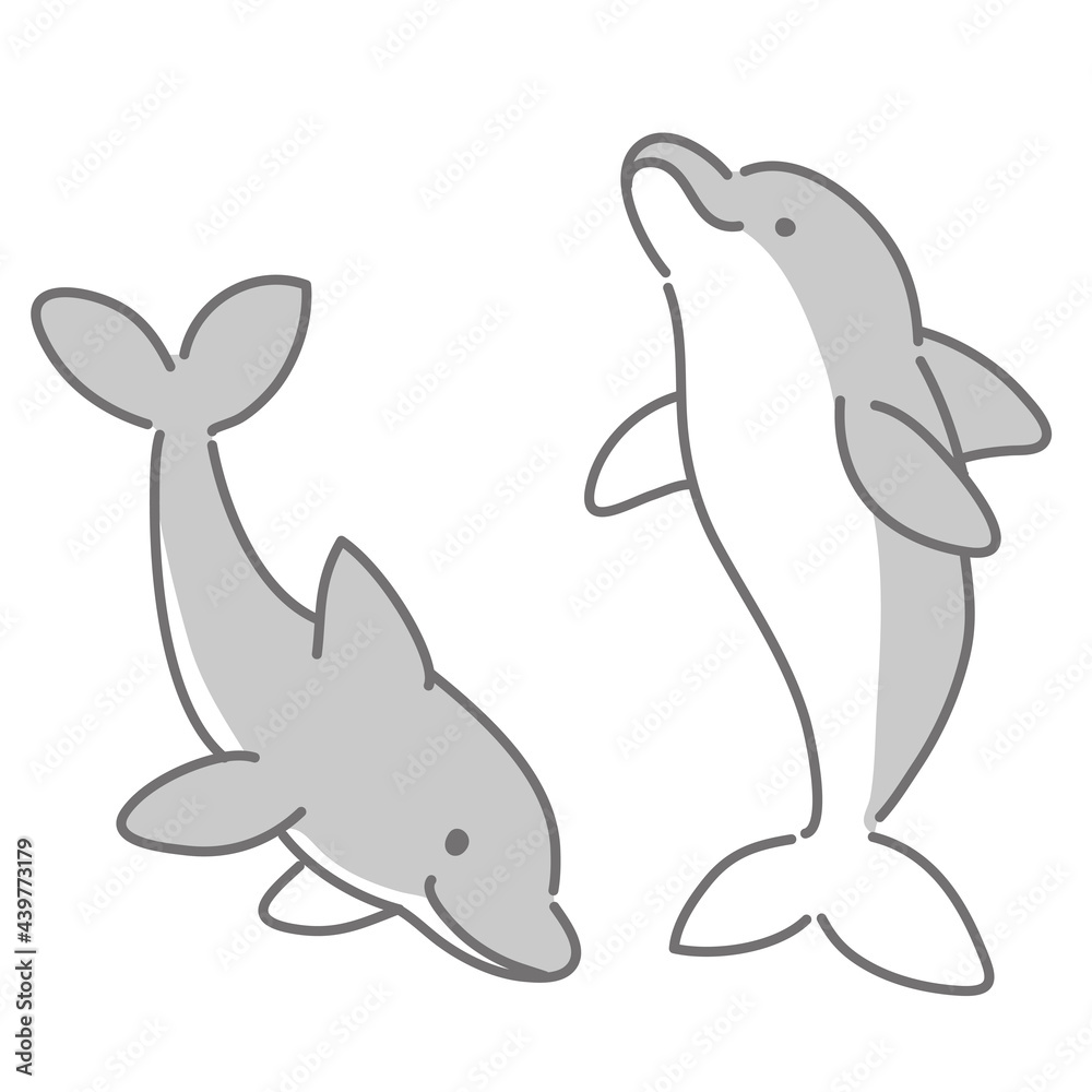 二匹のイルカのイラスト 二匹のイルカのイラスト