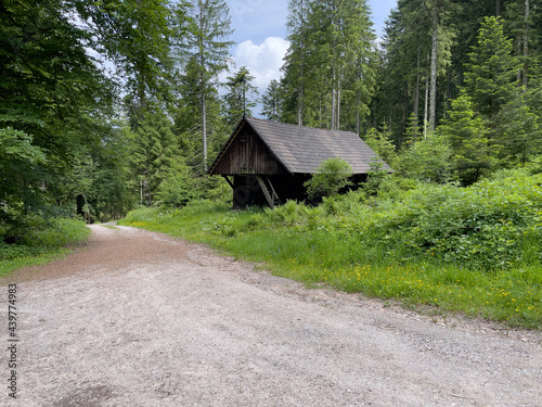 Camping im Schwarzwald