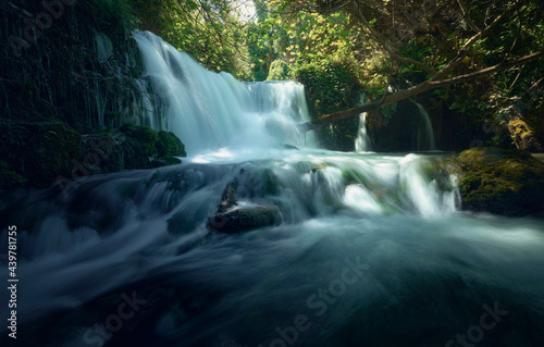 Waterfall in the forest