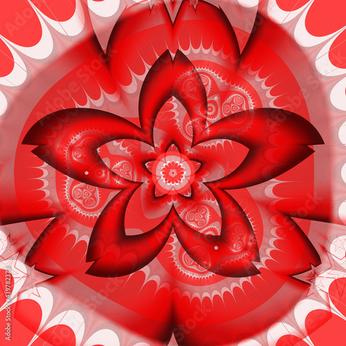 Photos Fabulous flower red and white