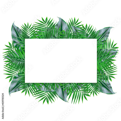 green leaves monstera and kentia with white paper note frame 