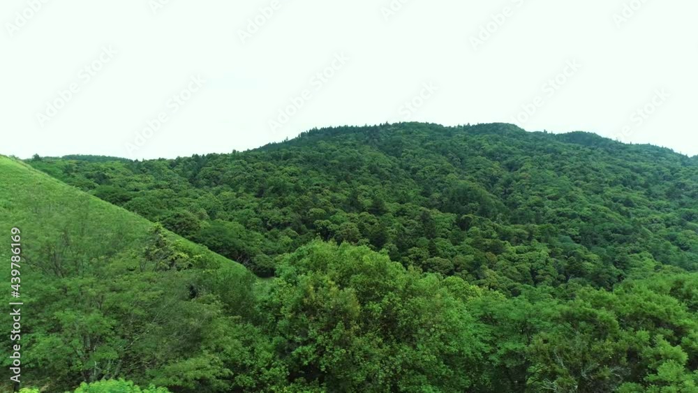 奈良の若草山の稜線に沿った上空からの風景 奈良の若草山の稜線に沿った上空からの風景