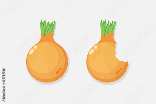 Onion and onion bite icon design