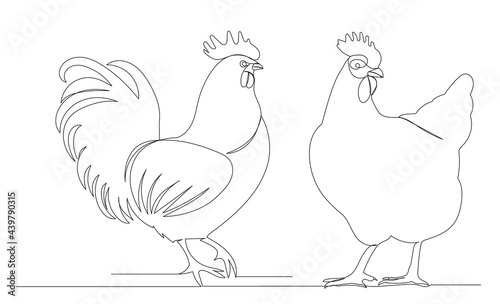 chicken, rooster one continuous line drawing, isolated, vector