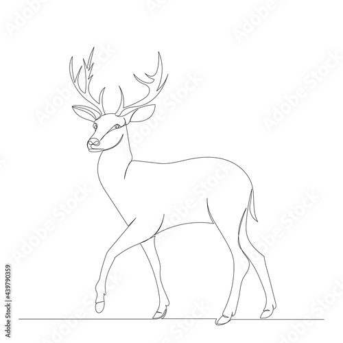 deer drawing by one continuous line  isolated  vector