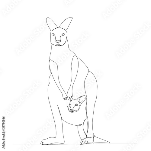 kangaroo drawing by one continuous line, isolated, vector