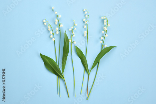 Composition with white flowers. Lilies of the valley on a light blue paper background.