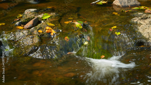 A small forest stream flows among the stones in the autumn season.
