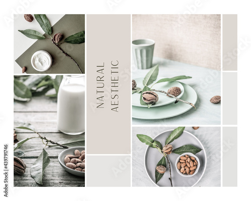 Face cream and milk made from almond. Grey clean design moodboard. Photo Collage with text - Natural Aesthetic. Natural health and beauty.