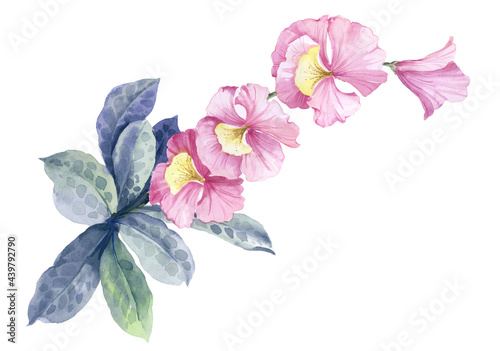 Flowers watercolor illustration.Manual composition.Design for cover, fabric, textile, wrapping paper .