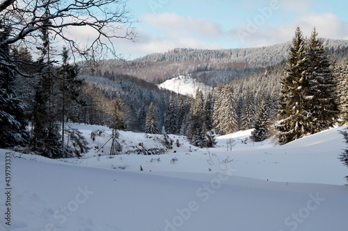 Winter landscape, a magic in snow and ice. Kleinschmalkalden, Thuringia, Germany, Europe