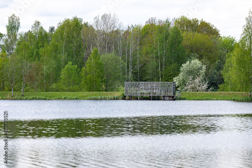 dam on river makes water to stop and collect in big pond. Flooded lake near forest in early may day. Latvian landscape with woods, dike, blooming bird cherry, water surface in slightly windy weather. 