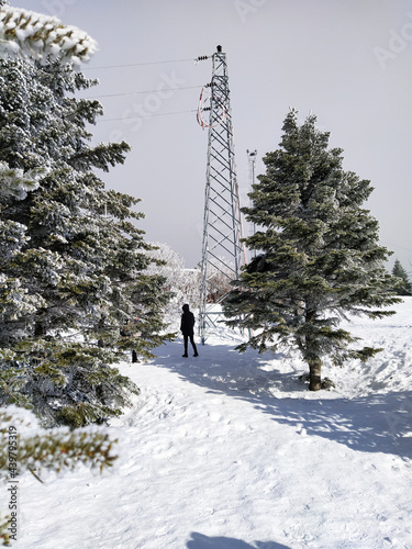 someone is walking between trees and electricity poles in winter