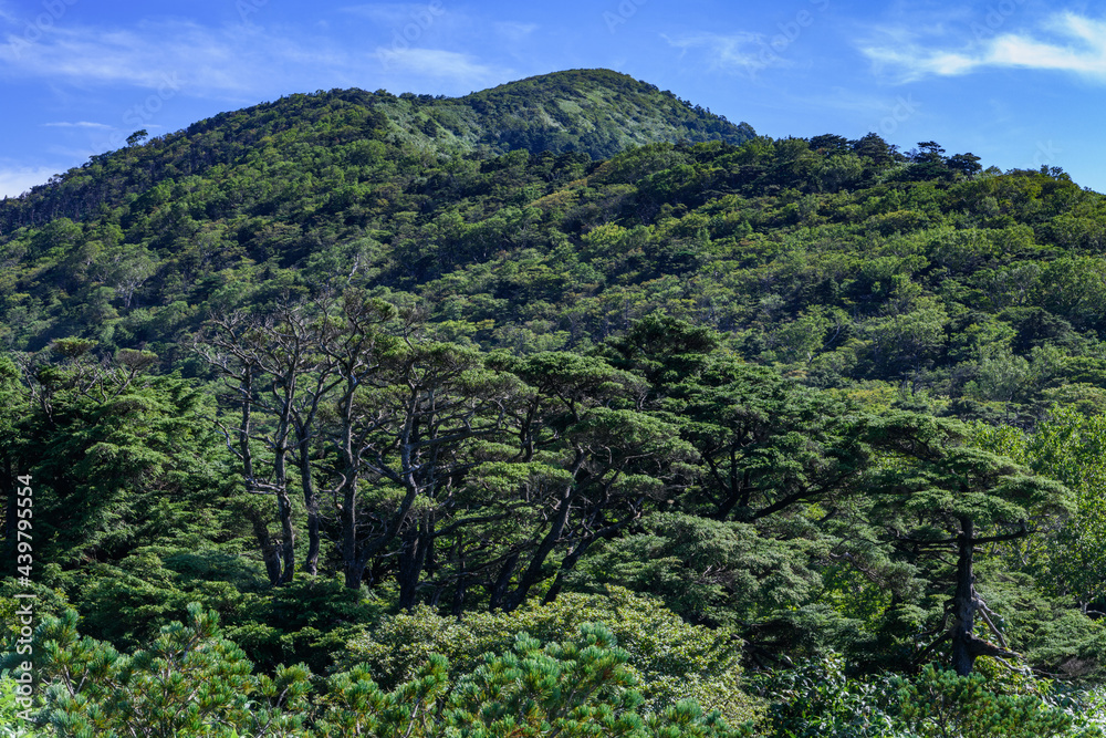 白笹山から見た南月山