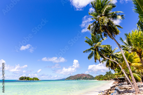 Cote D Or Beach  Anse Volbert  on Praslin Island  beautiful tropical sandy beach with lush coconut palm trees  azure ocean and no people..