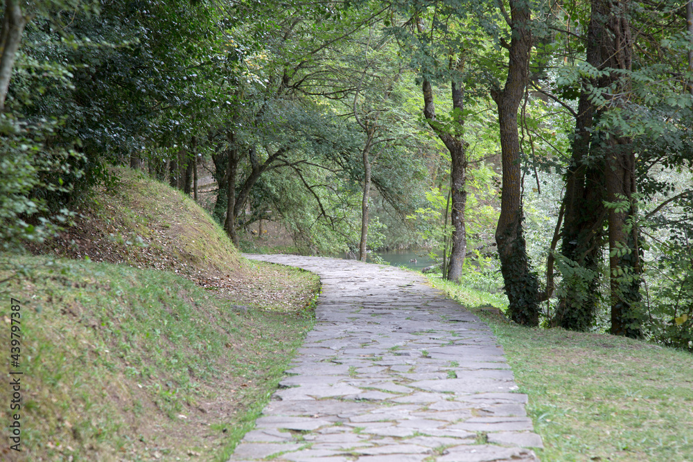 Footpath at Birthplace of Ebro River, Fontibre