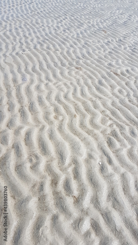 Nordsee bei Ebbe mit Spuren der Gezeiten Nordsee bei Ebbe mit Spuren der Gezeiten