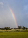 rice field  and rainbow
