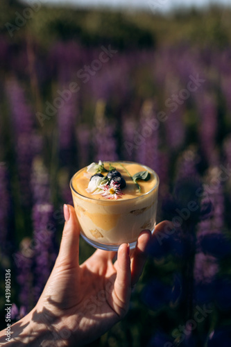 lemon cheesecake in a woman's hand outdoors. small cake in hand against the background of a lupine field. delicious healthy dessert with blueberries and petals close-up. photo