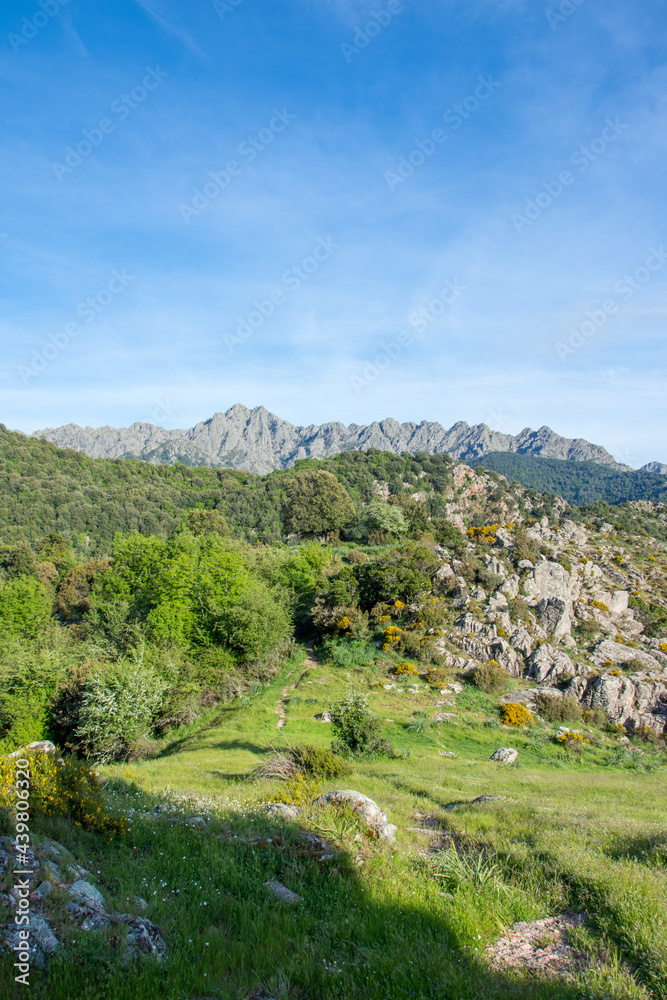 Corse du sud, France