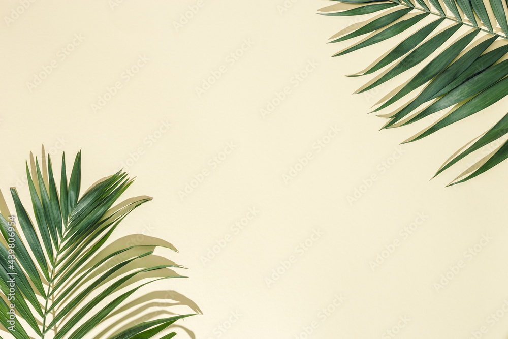 Natural green palm leaf with sun shade on light yellow. Summer minimal concept, beautiful daylight