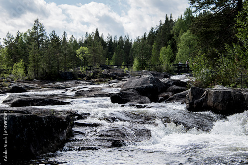 Small river on rocks in the forest. 