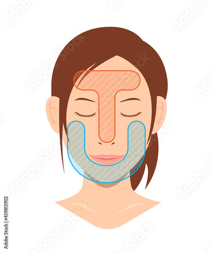 Vector illustration of T-zone and U-zone of female face.