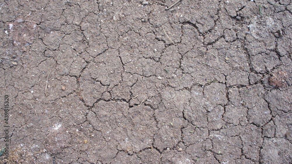 Dry ground cracks. Cracks in the soil. Desertification Dry ground cracks. Cracks in the soil. Desertification