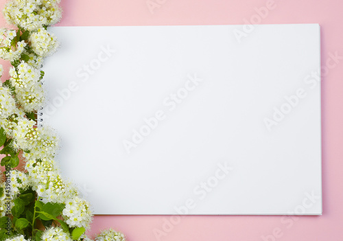Flat lay. Flat composition with album, white flowers on a pink background. Flowers. Concept for distance learning and work at home, freelancer, quarantine. Sketchbook for drawing on a pink background.