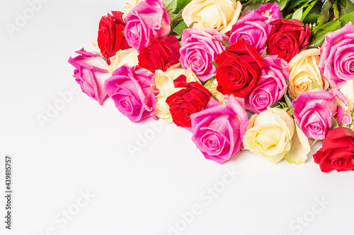 Assorted fresh multicolored roses isolated on white background